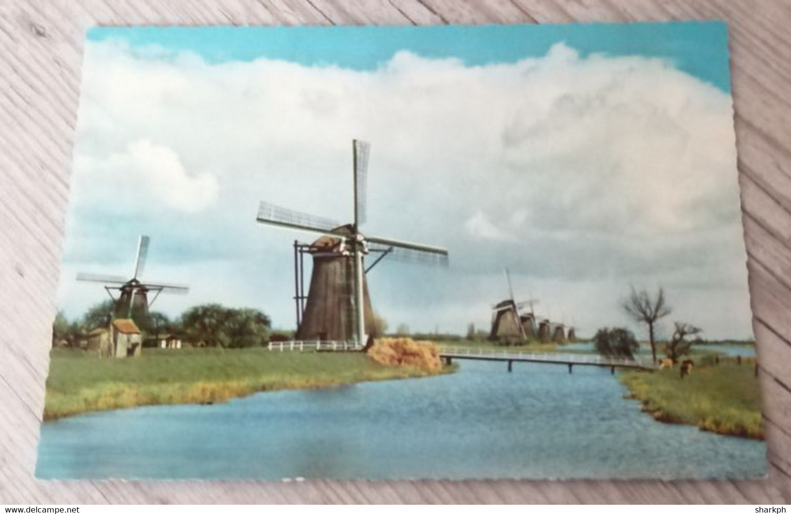 CARTE POSTALE PAYS BAS " MOULINS" - Kinderdijk