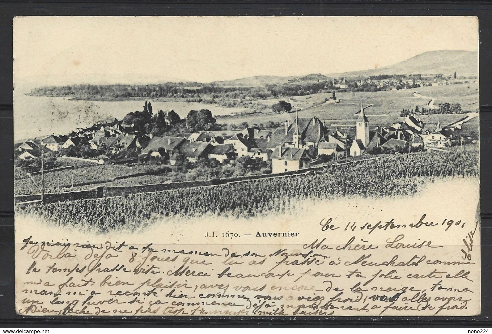 Carte P De 1901 ( Auvernier ) - Auvernier