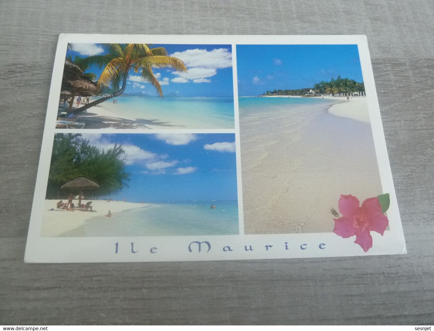 Ile Maurice - Multi-vues - 836 - Editions Arts Distributions - Année 2015 - - Maurice