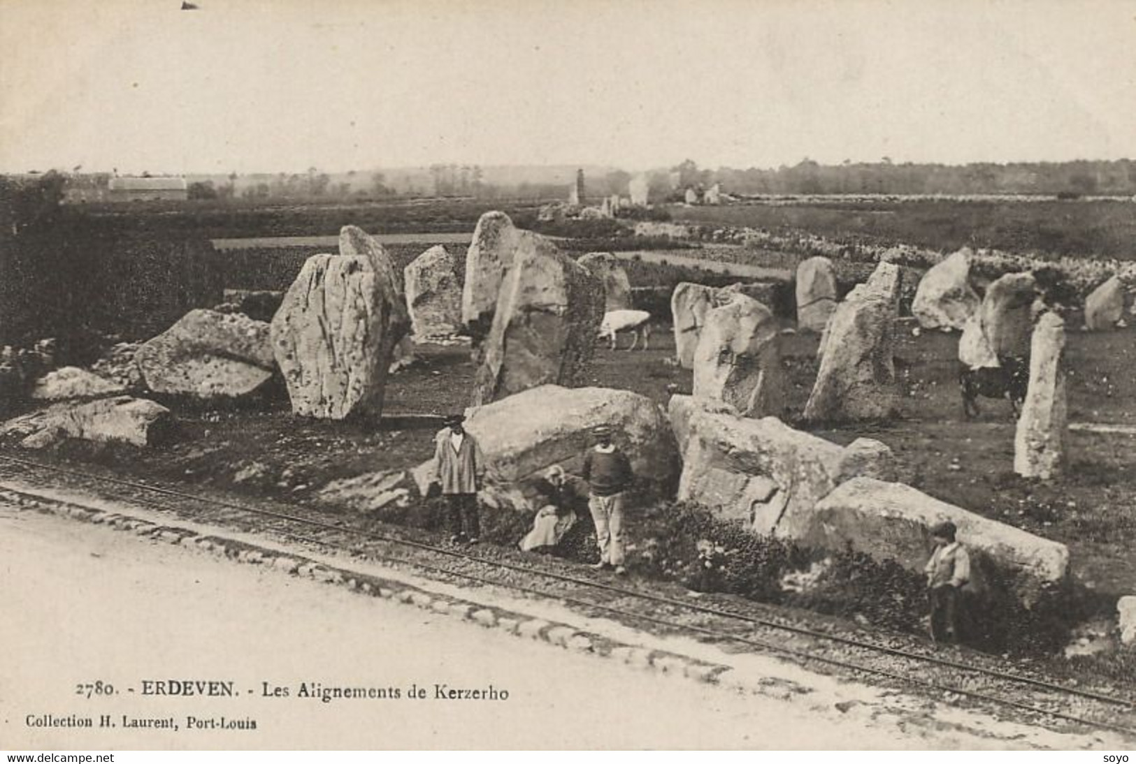 Erdeven Alignements De Kerzerho Dolmen Menhir Celtes Gaulois - Dolmen & Menhire