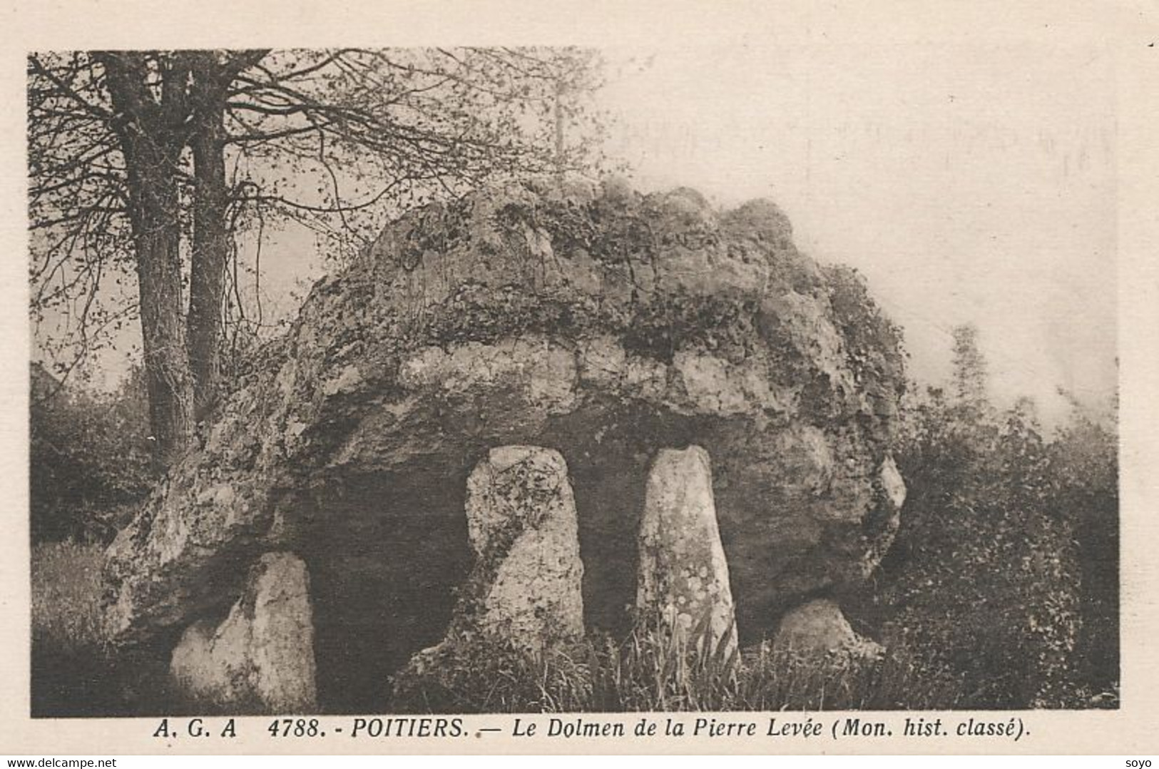 Dolmen Pierre Levée Celtes Gaulois - Dolmen & Menhire