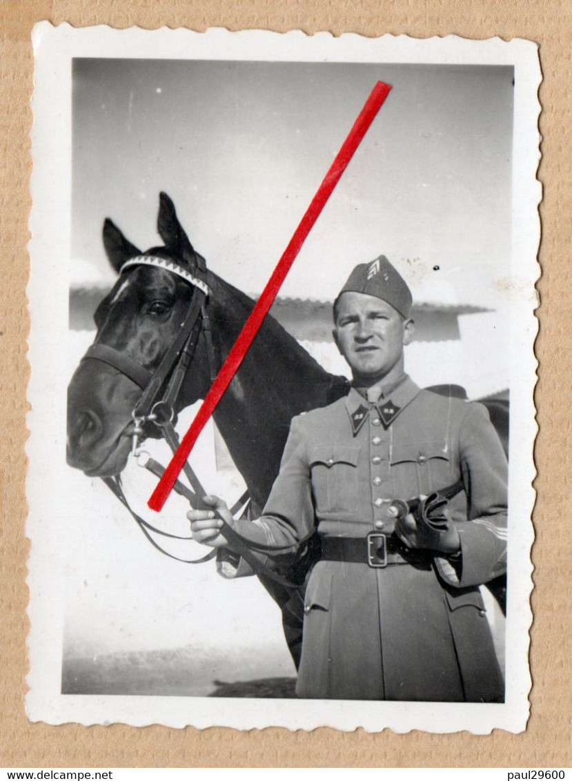 A Définir, Photo, Cheval, Militaire, Soldat, Cavalier, Guerre, Année 1940. - Other & Unclassified