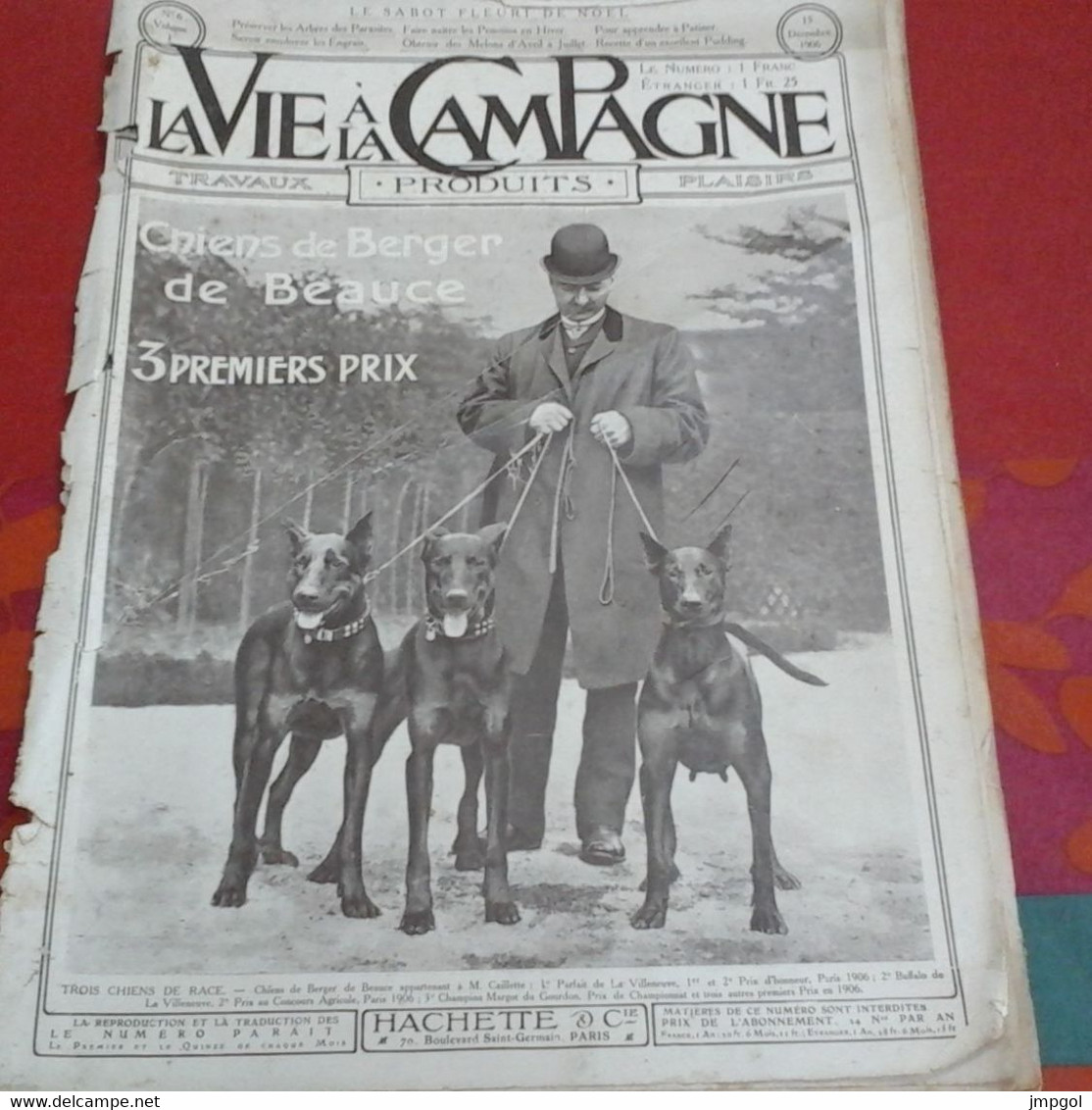 Vie à La Campagne N°6 1906 Chiens Berger De La Brie Villa Menier Cannes Ecoles Agricoles Bouchout Strabroek Heverlé - 1900 - 1949