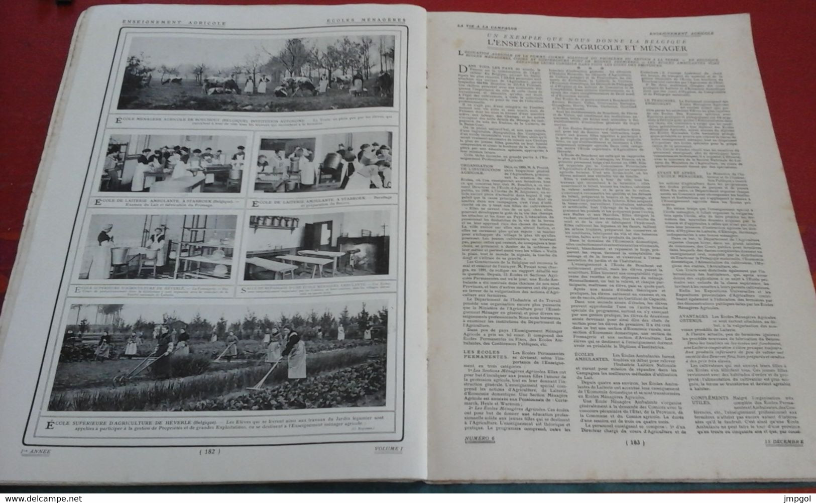 Vie à La Campagne n°6 1906 Chiens Berger de la Brie Villa Menier Cannes Ecoles agricoles Bouchout Strabroek Heverlé