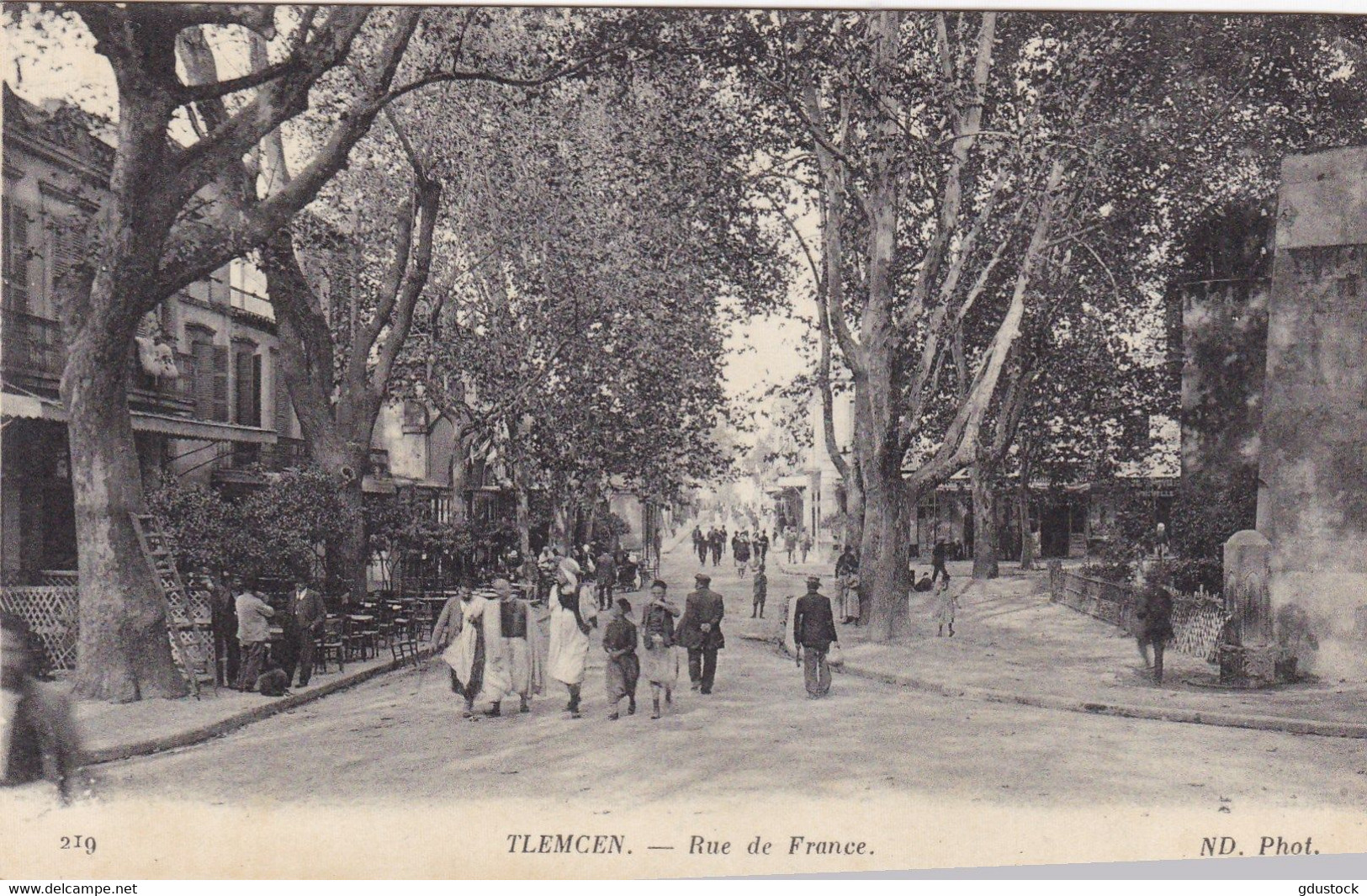 Algérie - Tlemcen - Rue De France - Tlemcen
