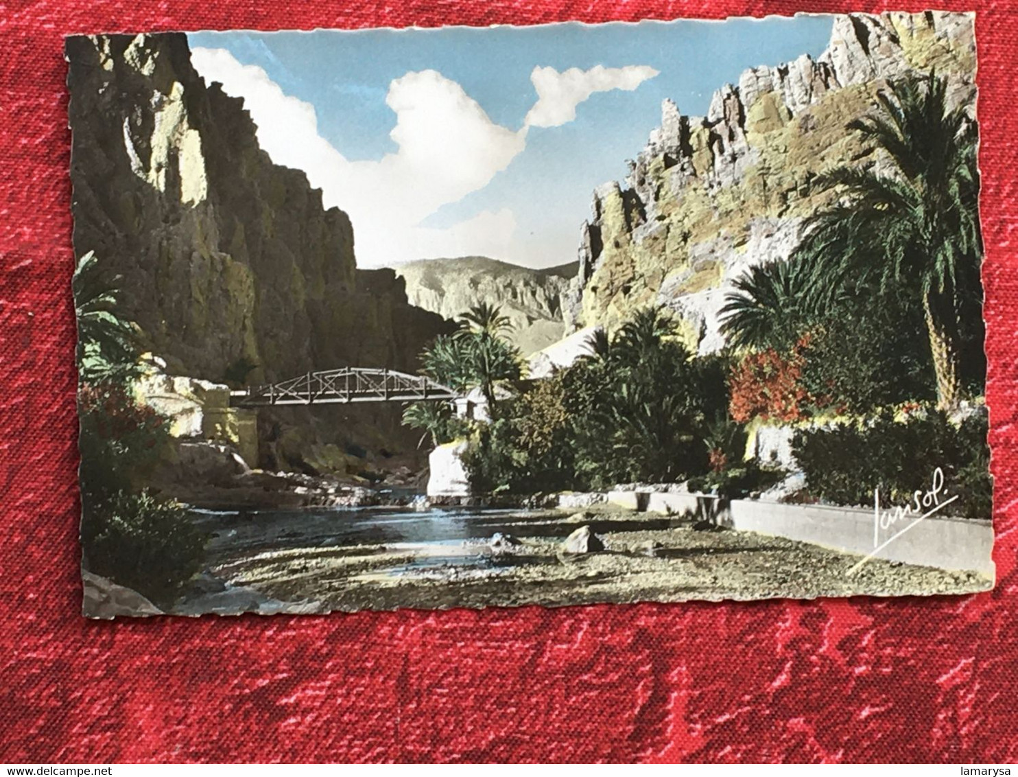 Blida Ex-Algérie Française-Paysages Du Sud-Portes Désert-Carte Postale-☛CPSM-☛Post Card-1957-lettre D'amour- - Blida