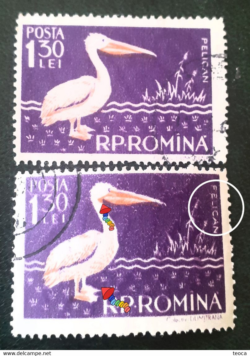 Birds Pelicans Errors Stamps Romania 1957 # Mi 1691, Birds Printed Wirh Broken Letters From PELICAN - Abarten Und Kuriositäten