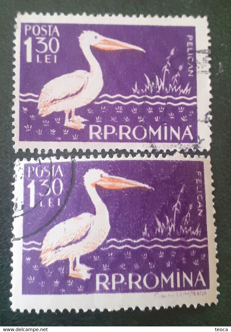Birds Pelicans Errors Stamps Romania 1957 # Mi 1691, Birds Printed Wirh Broken Letters From PELICAN - Errors, Freaks & Oddities (EFO)