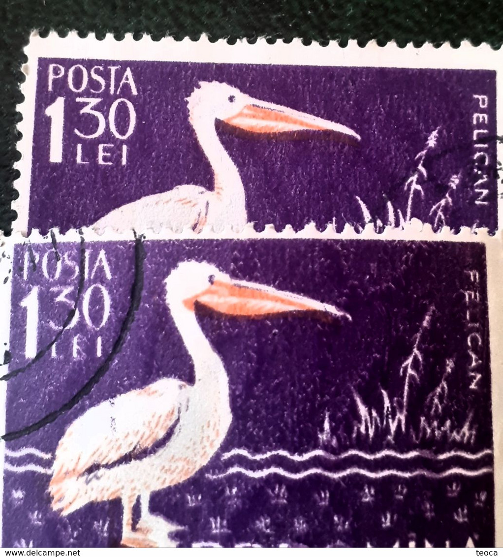 Birds Pelicans Errors Stamps Romania 1957 # Mi 1691, Birds Printed Wirh Broken Letters From PELICAN - Plaatfouten En Curiosa