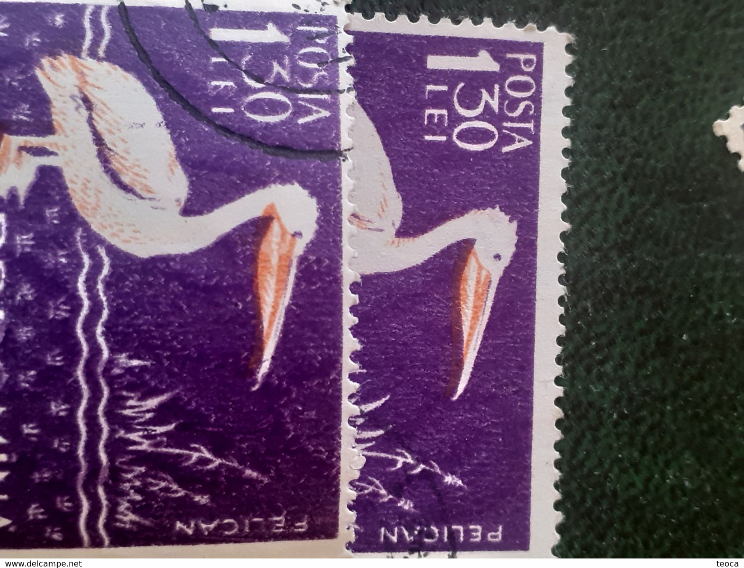 Birds Pelicans Errors Stamps Romania 1957 # Mi 1691, Birds Printed Wirh Broken Letters From PELICAN - Errors, Freaks & Oddities (EFO)