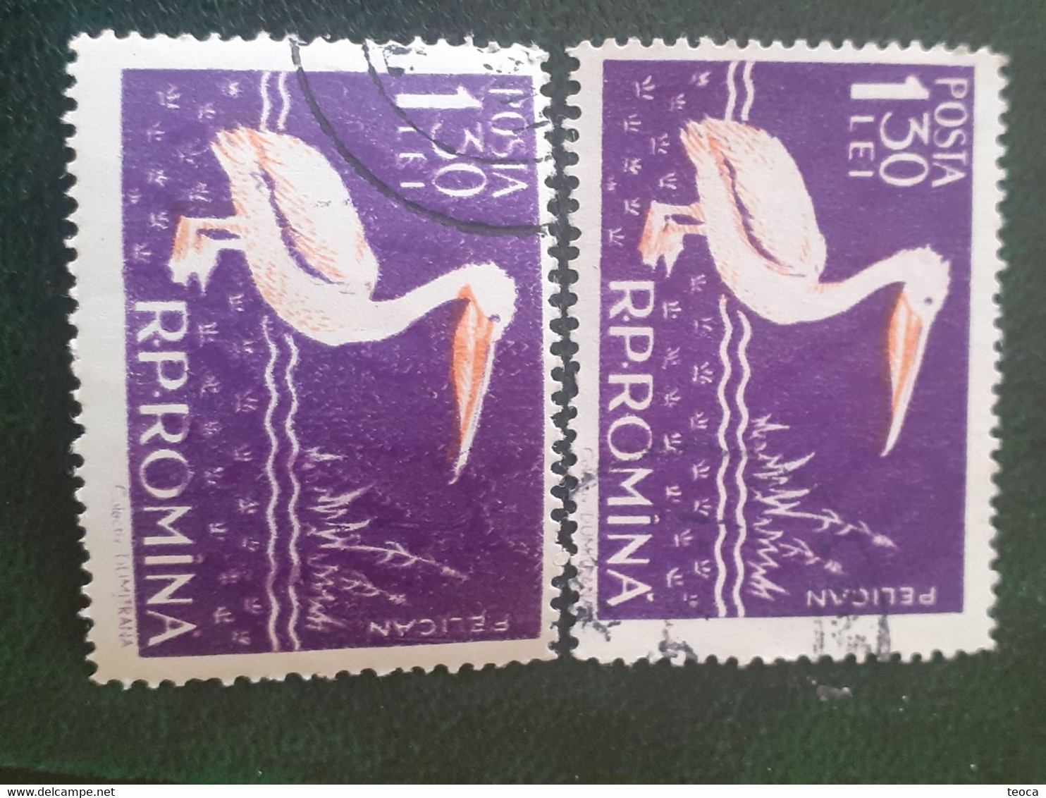 Birds Pelicans Errors Stamps Romania 1957 # Mi 1691, Birds Printed Wirh Broken Letters From PELICAN - Variétés Et Curiosités