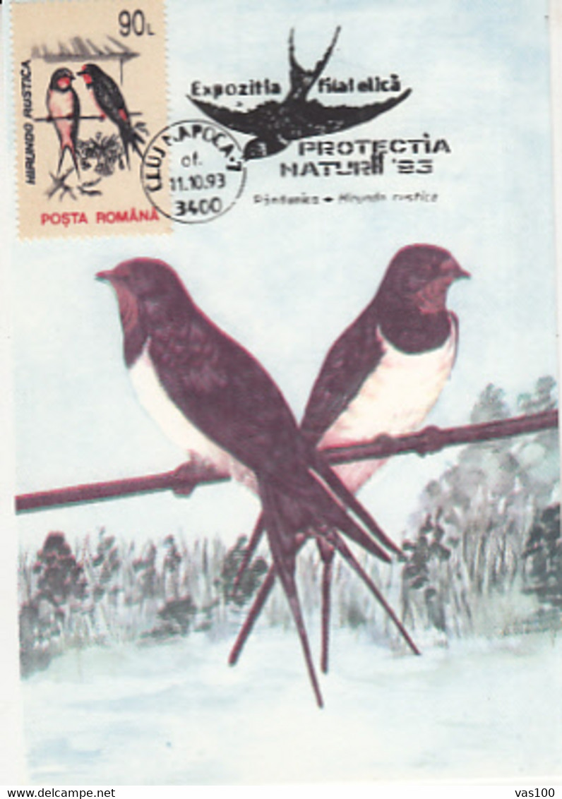 ANIMALS, BIRDS, BARN SWALLOW, CM, MAXICARD, CARTES MAXIMUM, 1993, ROMANIA - Hirondelles