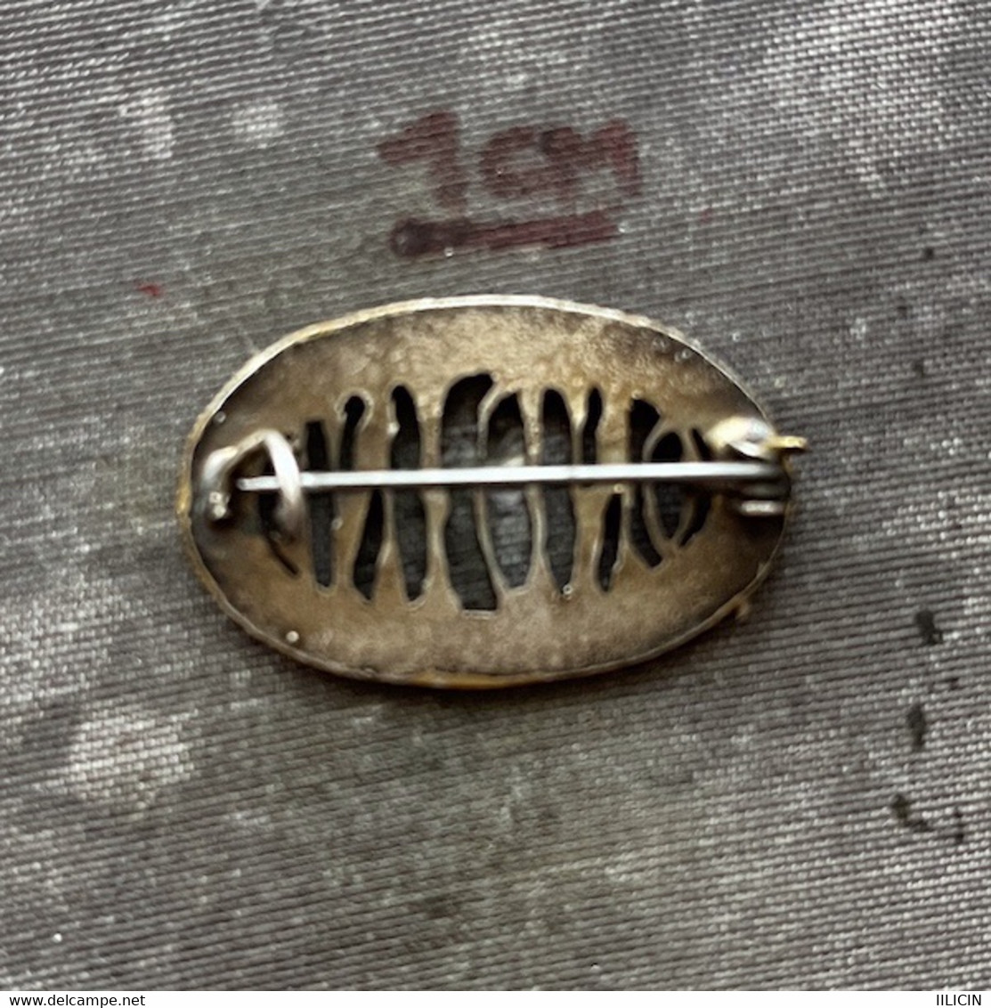 Badge Pin ZN011554 - Swimming France Ondine Association Feminine De Natation 1906 - Swimming