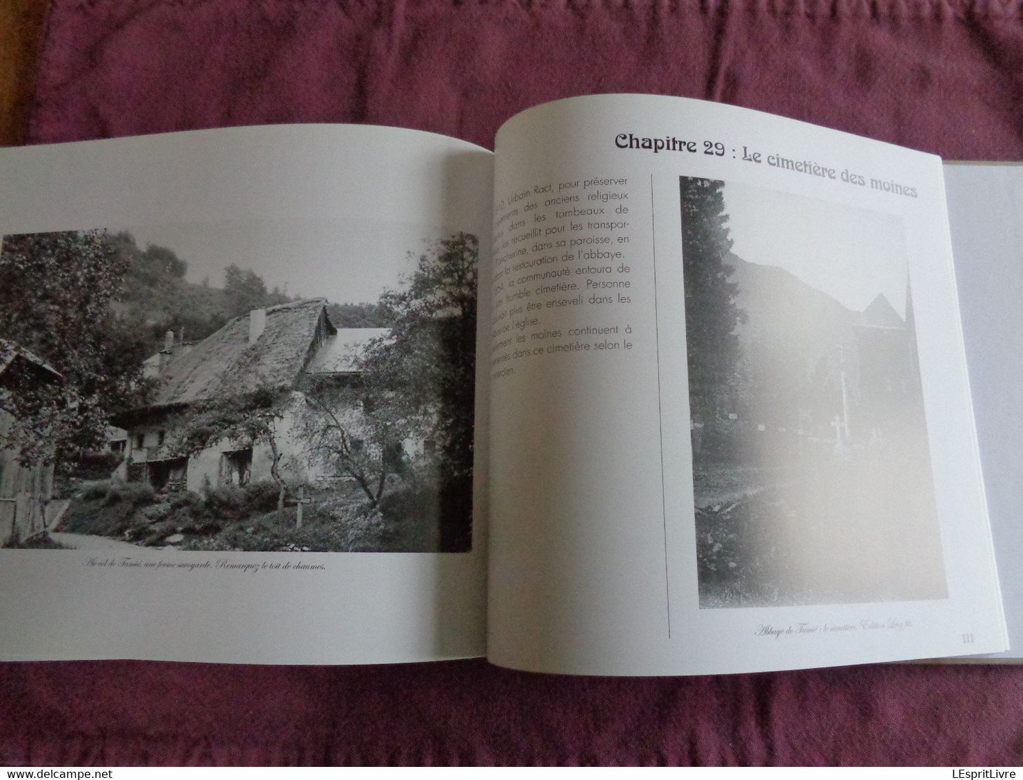 L'ABBAYE DE TAMIE Jadis et Naguère à Travers la Carte Postale Régionalisme Savoie Cisterciens Moine Trappe Trappiste