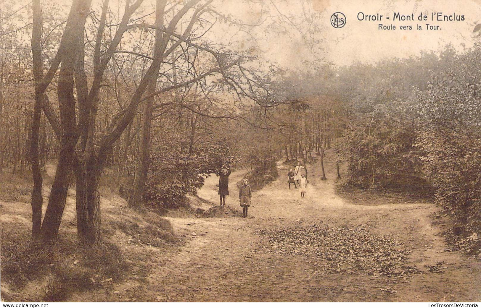 CPA Orroir - Mont De L'enclus - Route De La Tour - Animé - Mont-de-l'Enclus