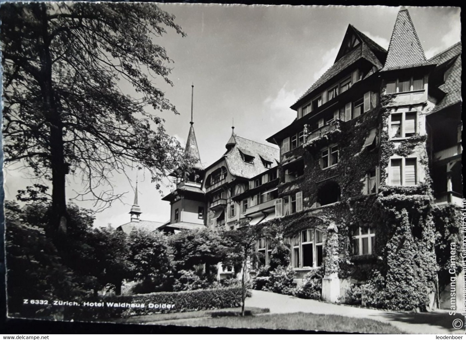 Zürich - Hotel Waldhaus Dolder - Z 6332 - Wald