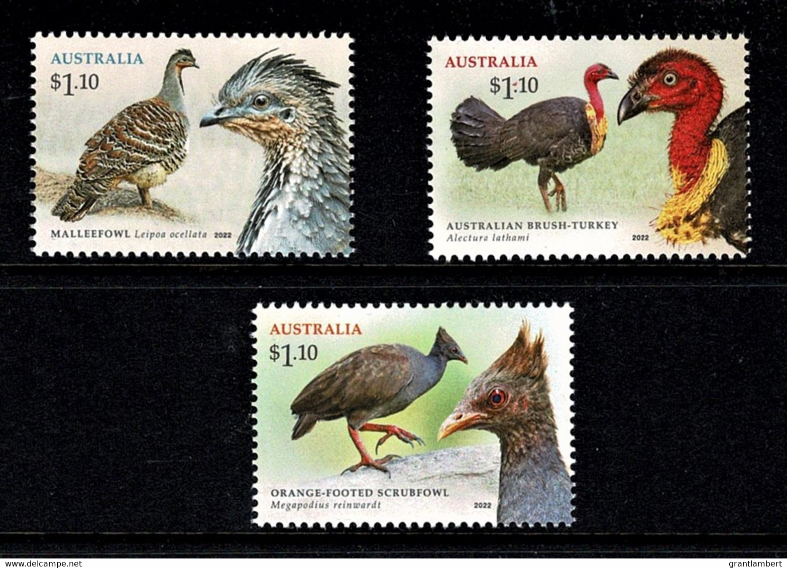 Australia 2022 Megapodes - Birds Set Of 3 MNH - Nuovi