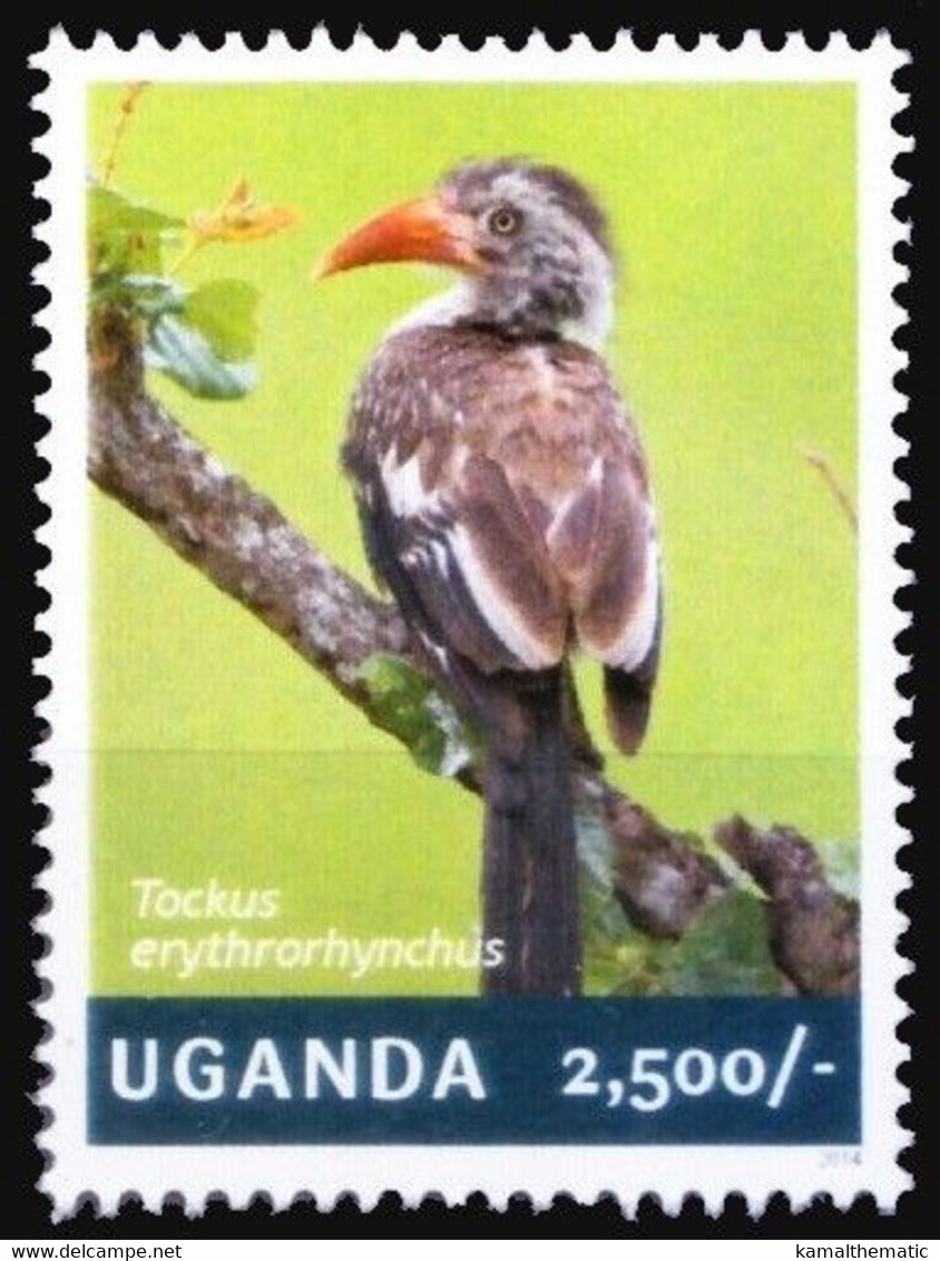 Uganda 2014 MNH, Red-billed Hornbill, Birds, Hornbills - Cuckoos & Turacos