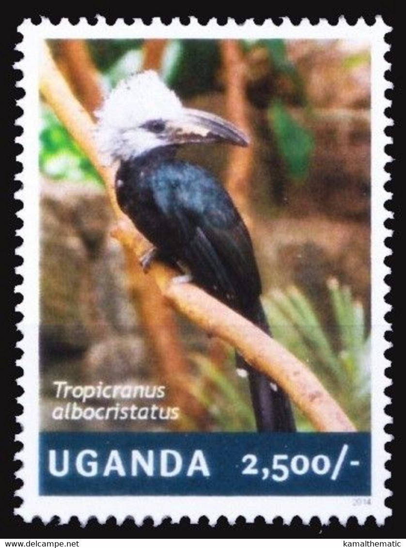 Uganda 2014 MNH, White-crested Hornbill, Birds, Hornbills - Cuculi, Turaco