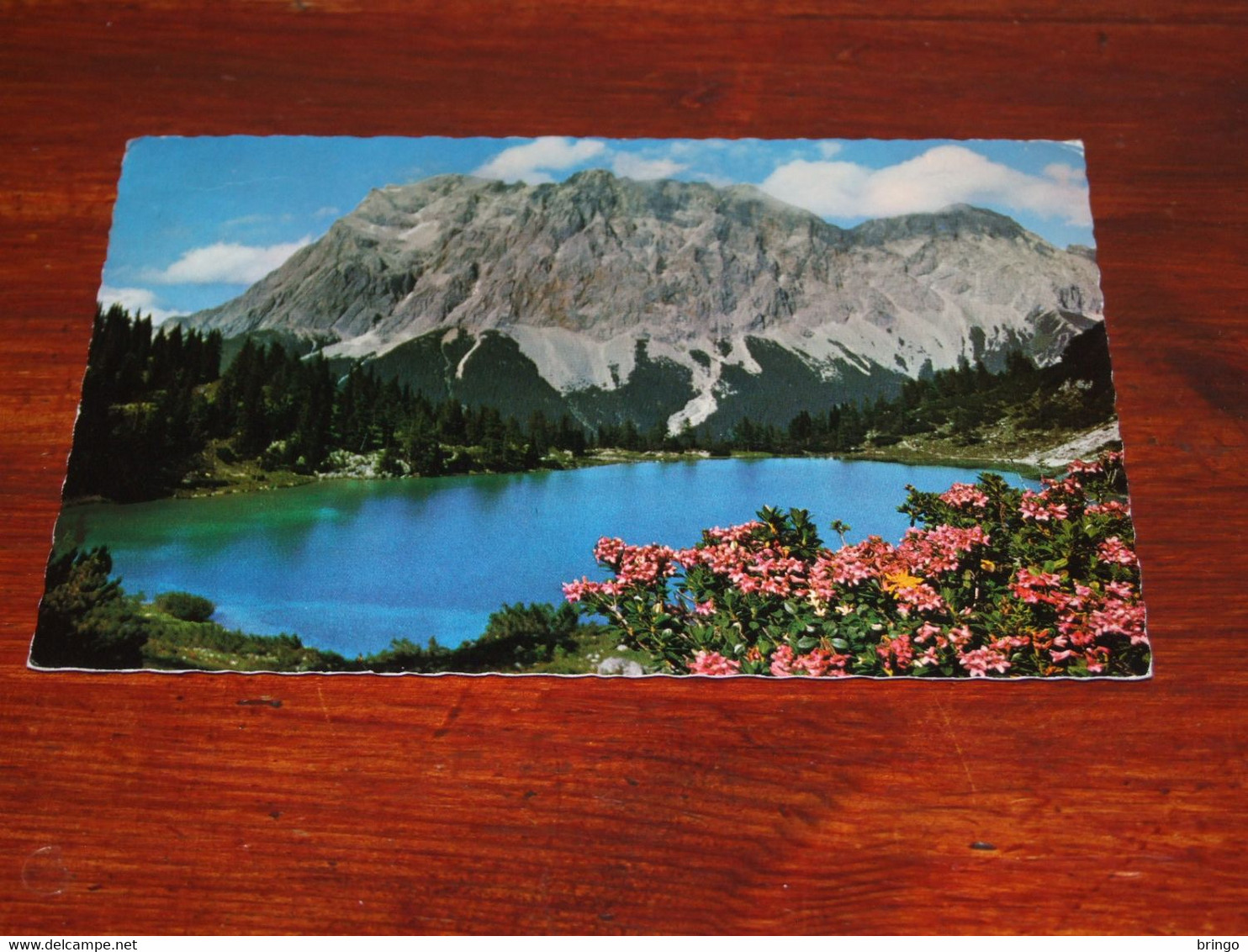 46868-                  SEEBENSEE, TIROL - Tannheim