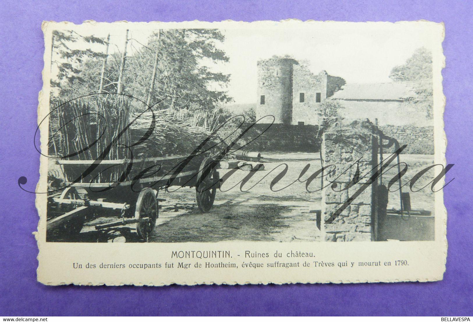 Montquintin Ruines Du Chateau. - Rouvroy