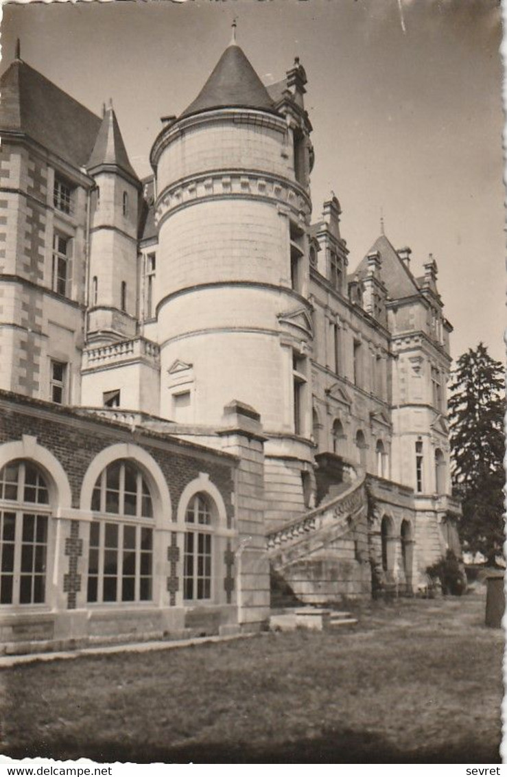 VOUNEUIL SOUS BIARD. - Carte-Photo Du Château De Boivre - Vouneuil Sous Biard