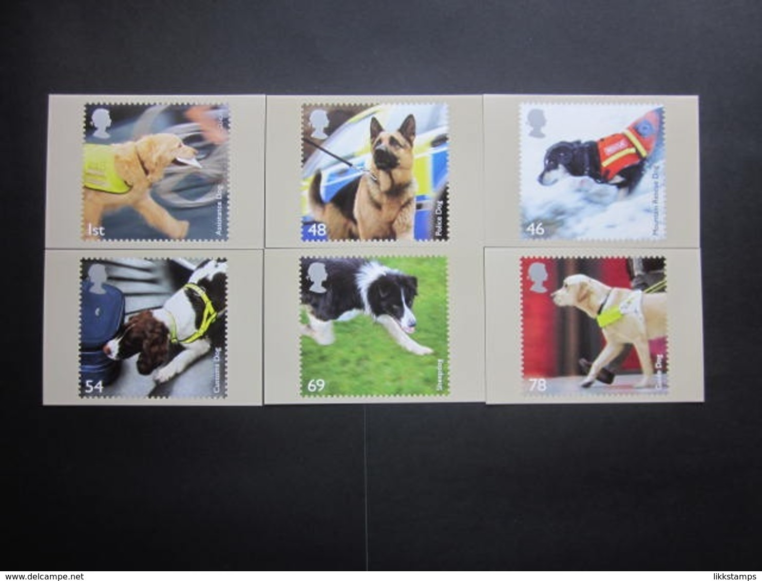 2008 WORKING DOGS P.H.Q. CARDS UNUSED, ISSUE No. 307 #00749 - PHQ Karten