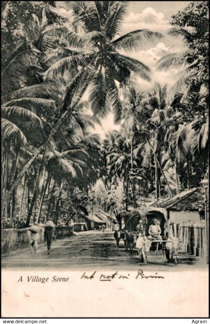 India 1915, Card "Village Scene" - Alwar