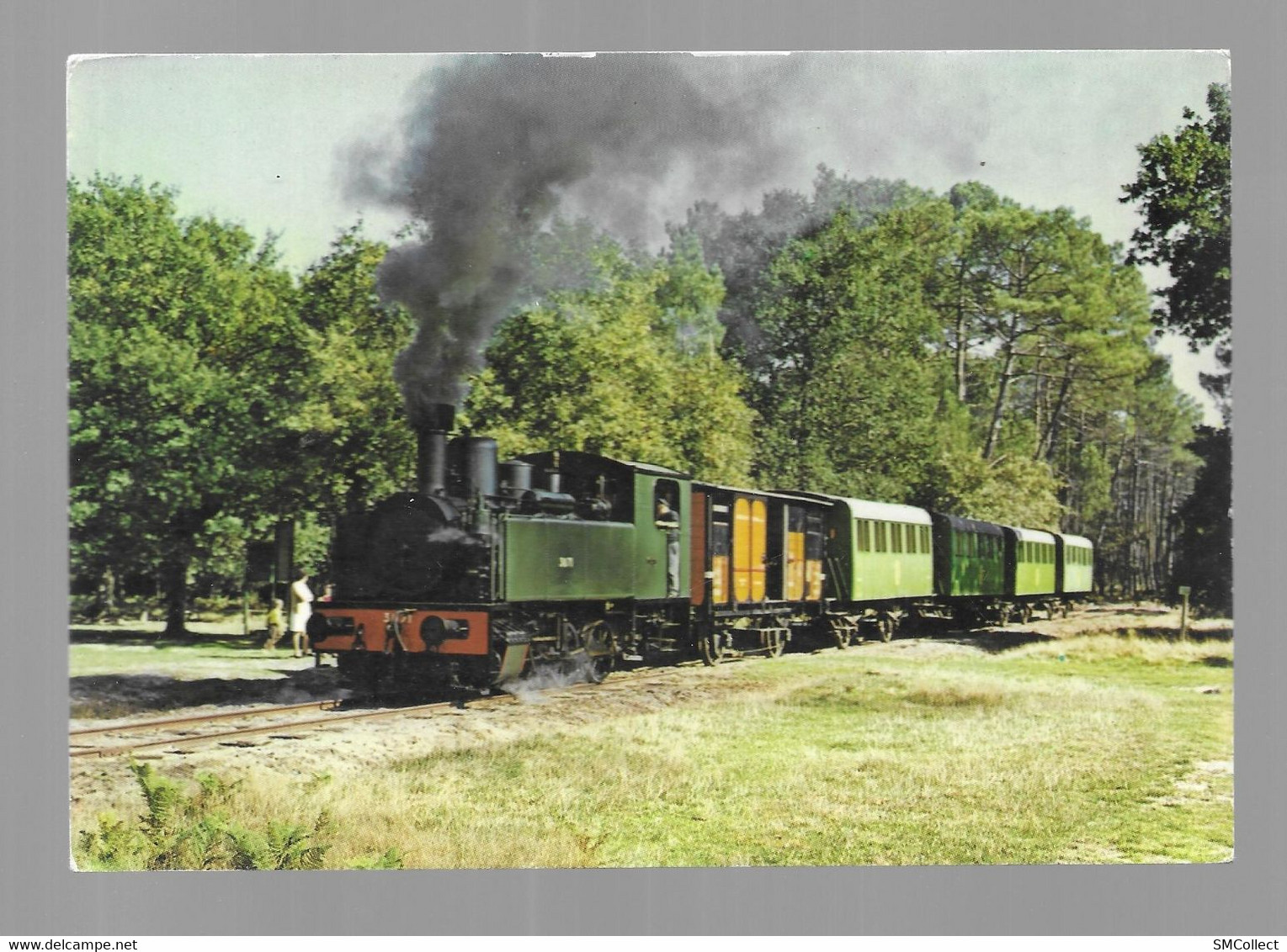 Sabres. Ecomusée De La Grande Lande "Marqueze". Le Train De Marquèze (GF2304-3) - Sabres