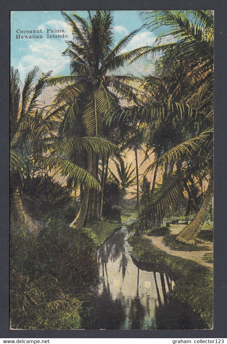 1959 Coconut Palms Hawaiian Islands Picture Postcard With US Air Mail First Jet Prop Service Cachet Hawaii Austin Texas - Hawaï