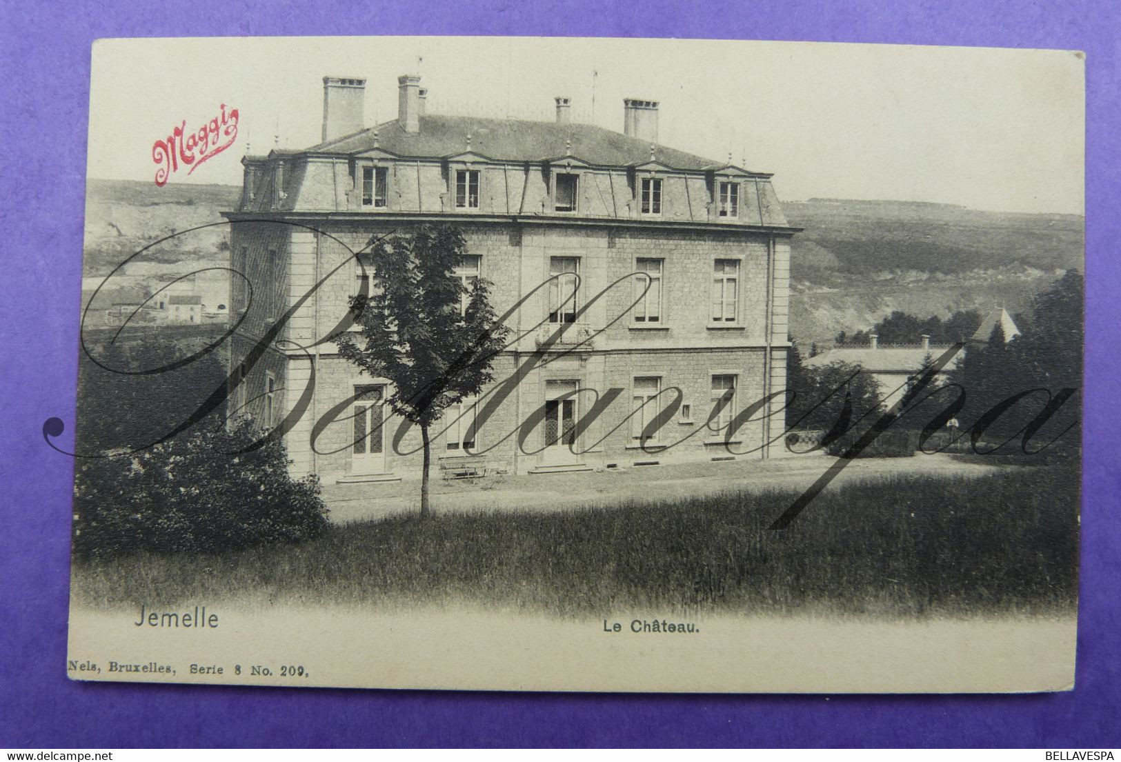 Jemelle Le Chateau Nels Serie 8, N° 209 - Rochefort
