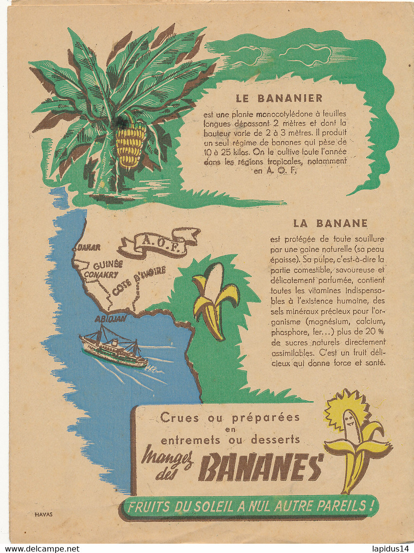 PR 202 /  PROTEGE CAHIER -   LE BANANIER  LA BANANE   (24,00 Cm X 18,00 Cm ) - Protège-cahiers