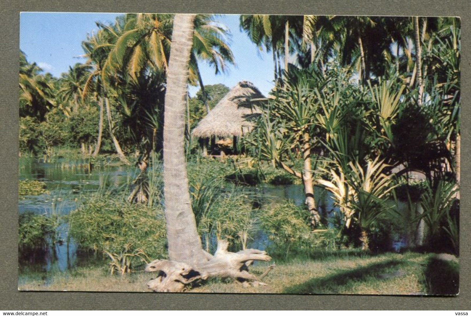 Scenery Of HAAPAPE Islet -  Payasage à Haapape île - Polynésie Française