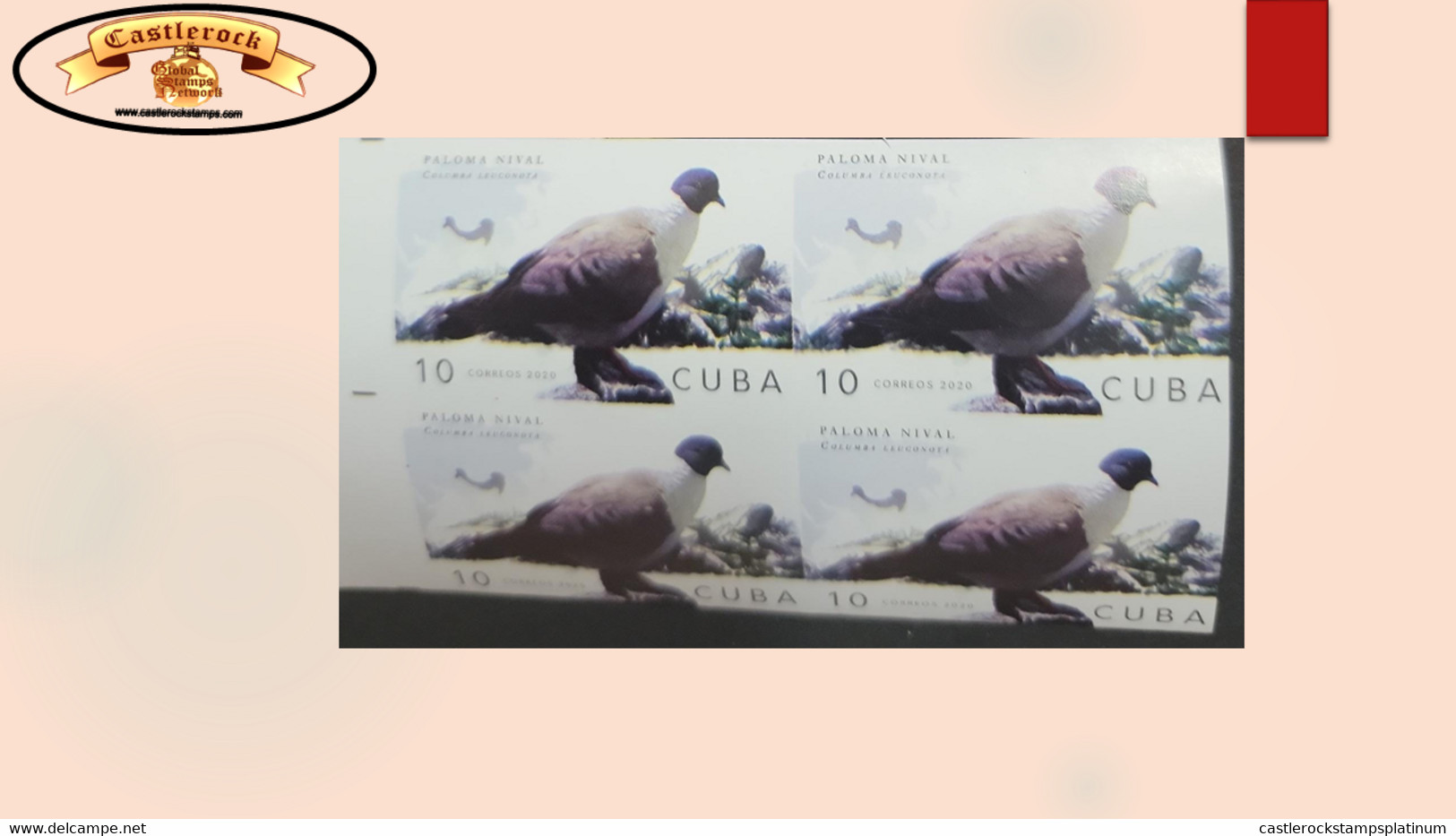 O) 2020 CUBA, CARIBBEAN, IMPERFORATED, BIRD, DOVE, PIGEON, PALOMA NIVAL, COLUMBA LEUCONOTA, MNH - Geschnittene, Druckproben Und Abarten