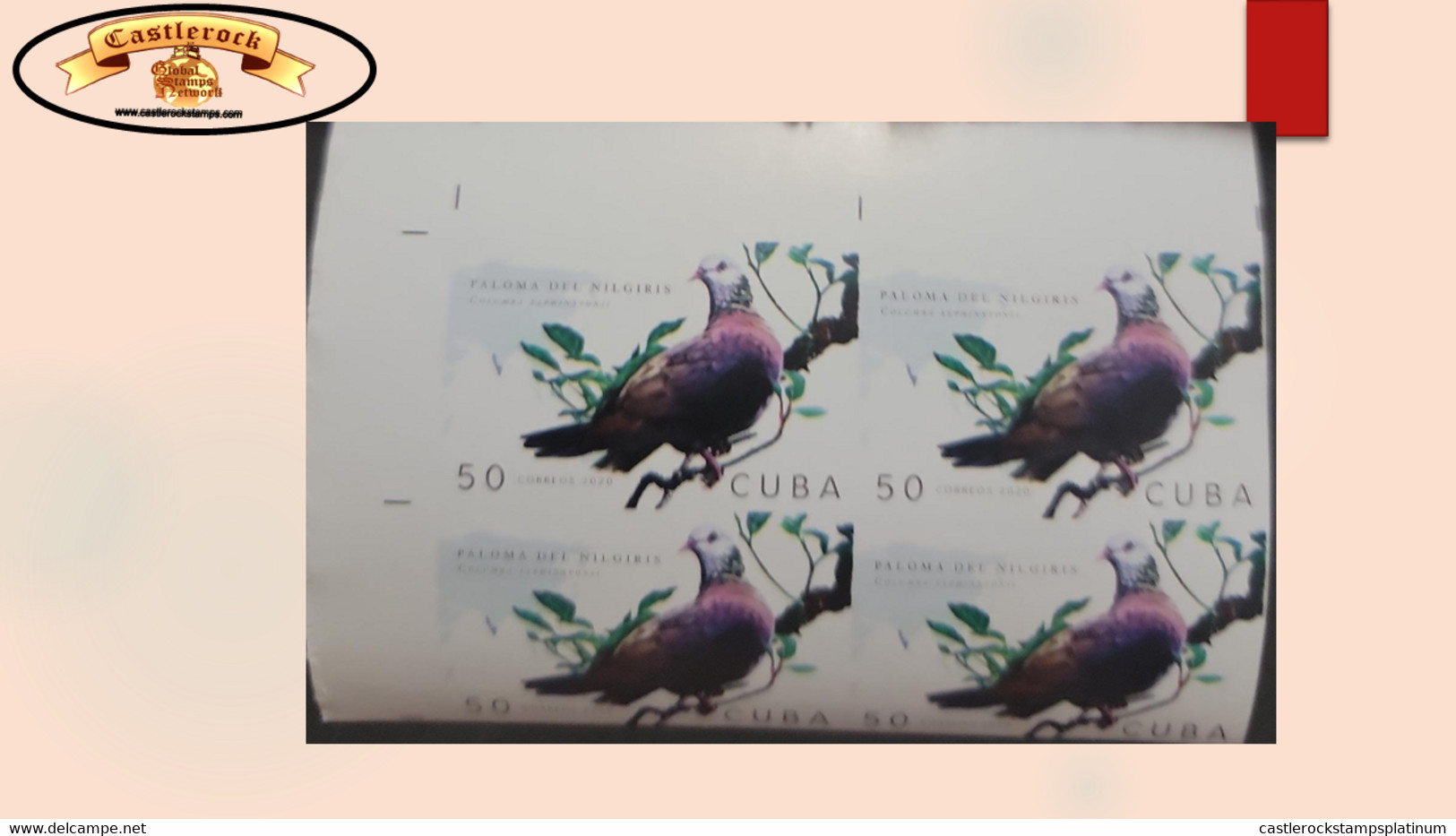 O) 2020 CUBA, CARIBBEAN, IMPERFORATED, BIRD, PIGEON, DOVE,  COLUMBA ELPHINSTONII, VULNERABLE IN ITS CONSERVATION STATE, - Imperforates, Proofs & Errors