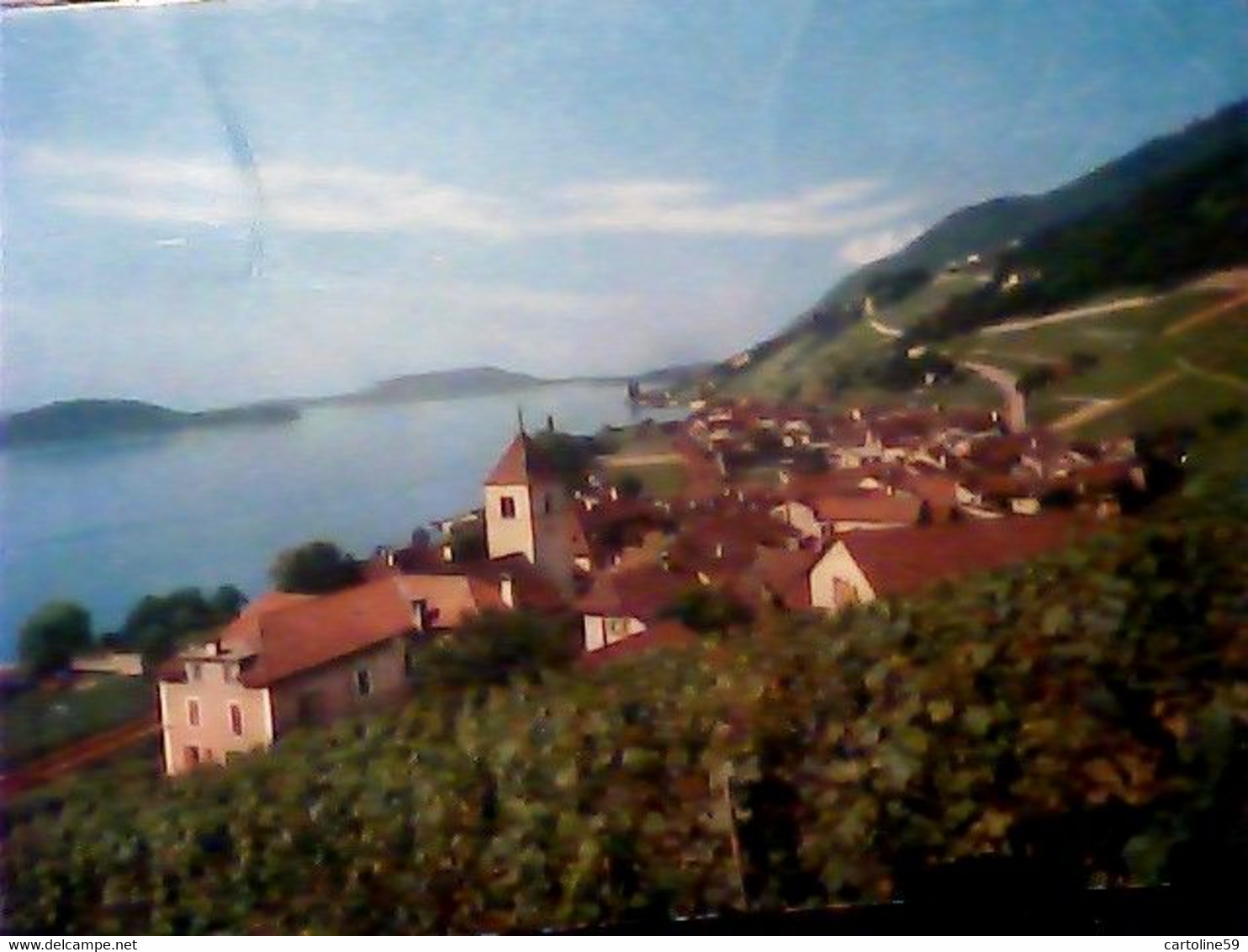 SUISSE SVIZZERA SWITZERLAND  Douanne Twann Am Bielersee VB1972  IQ8918 - Douanne-Daucher