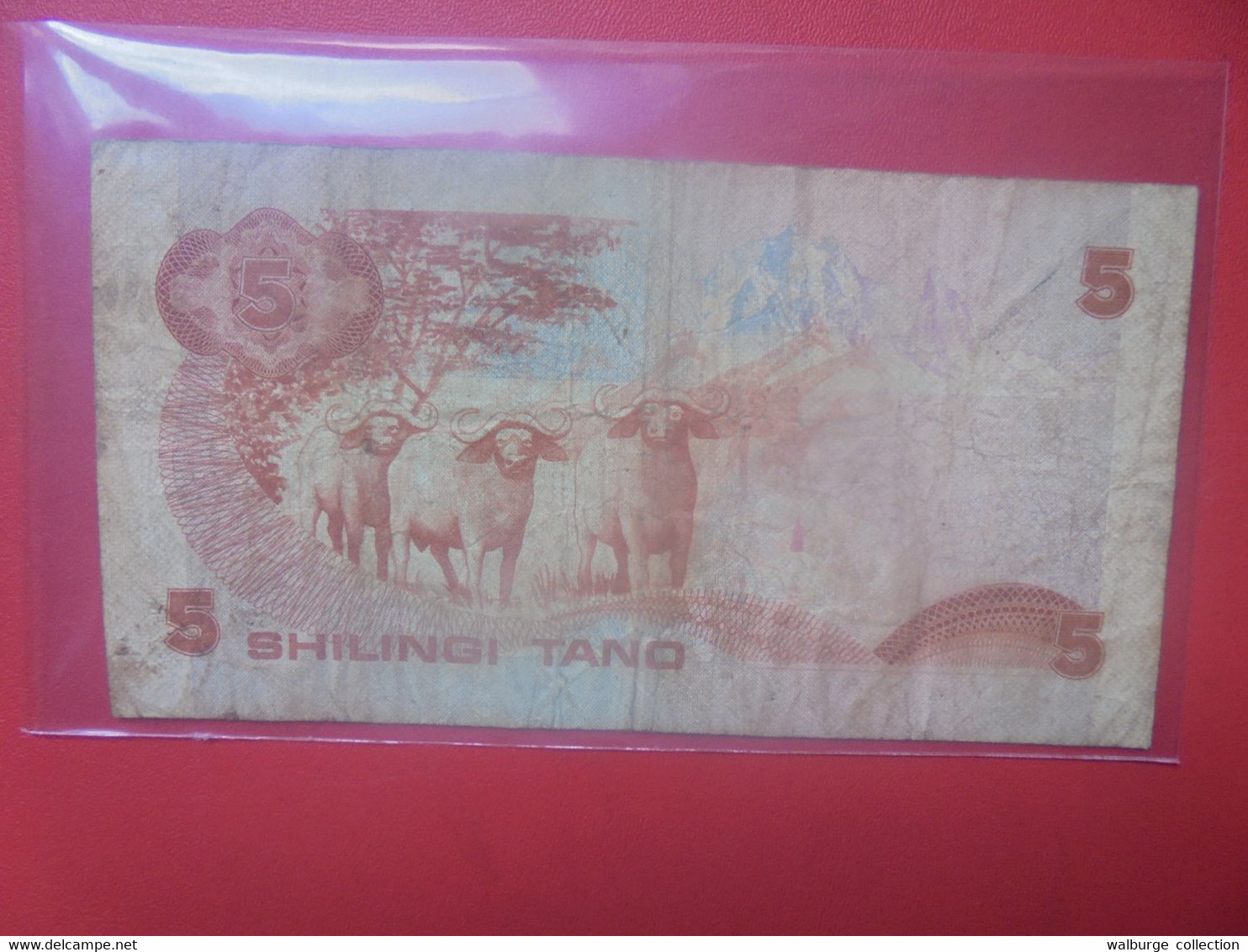 KENYA 5 SHILLINGS 1982 Circuler (L.2) - Kenia