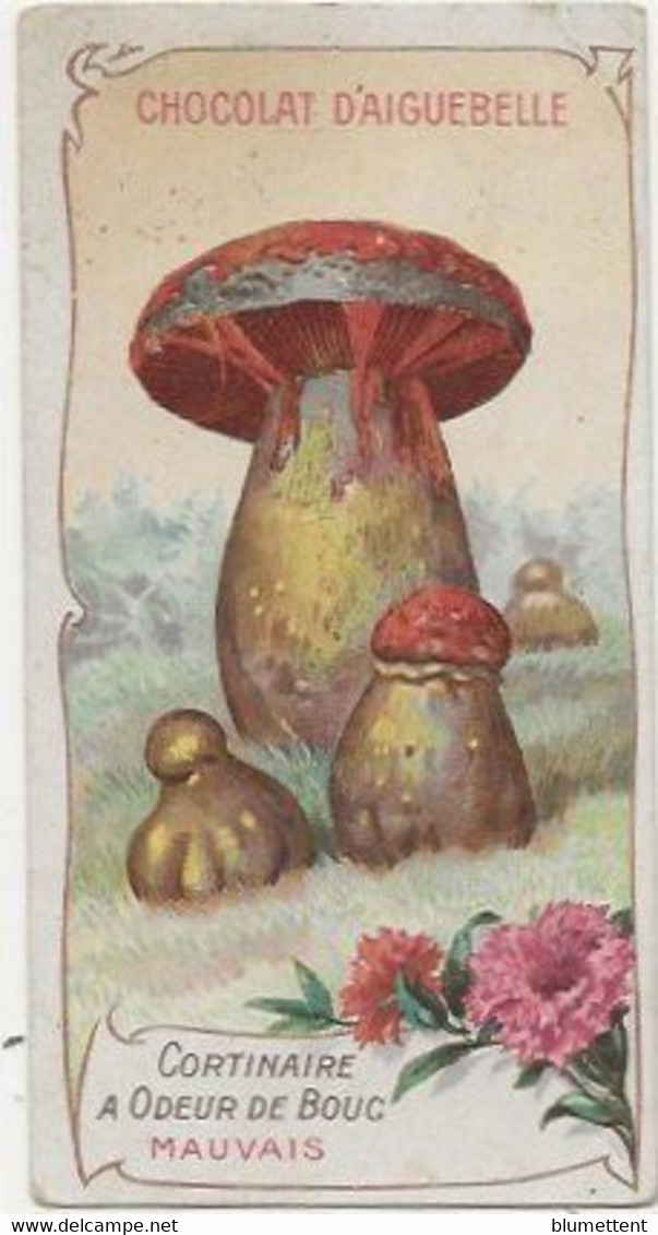 Chromo Aiguebelle Les Champignons 10,5 X 5.5 Cortinaire à Odeur De Bouc - Aiguebelle