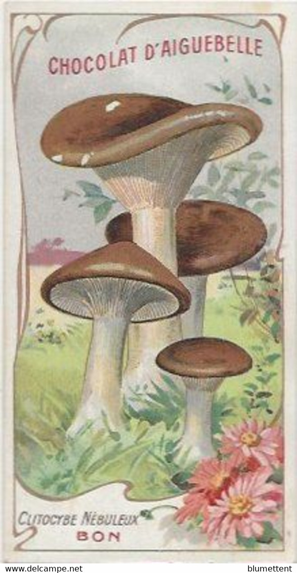 Chromo Aiguebelle Les Champignons 10,5 X 5.5 Clitocybe Nébuleux - Aiguebelle