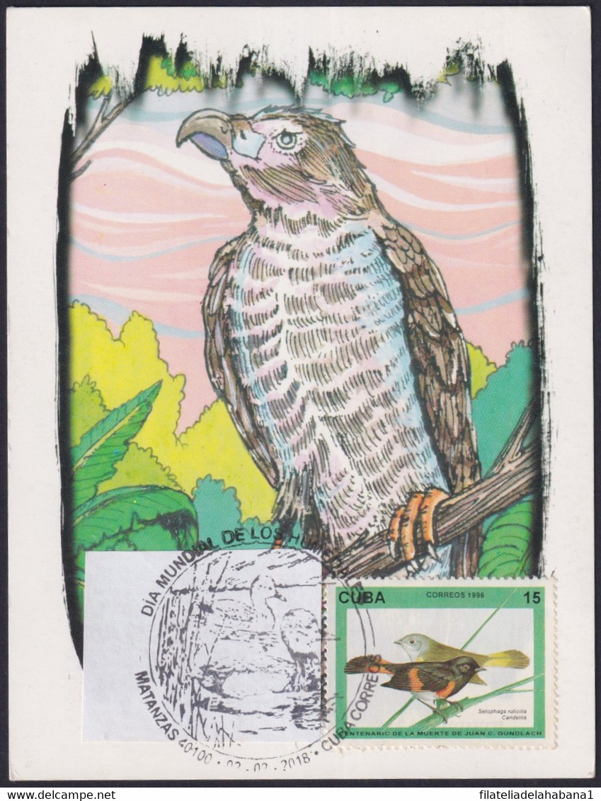 TMA-718 CUBA 2018 SPECIAL CANCEL MAXIM CARD. WORLD DAY HUMEDALES EVERGLADES BIRD AVES. - Tarjetas – Máxima