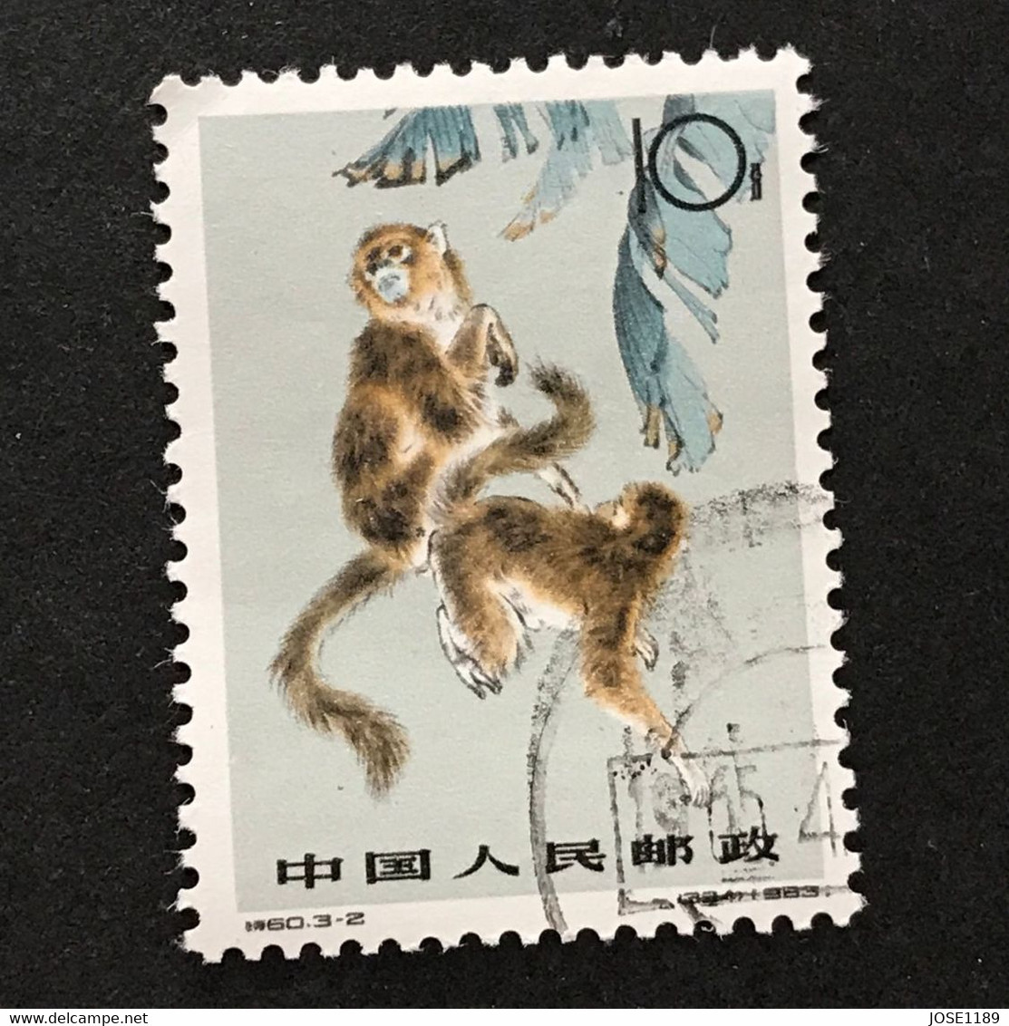 ◆◆◆CHINA 1963  Snub-nosed Langur   , SC＃714  ,  10F  (3-2)   USED    AB4915 - Used Stamps