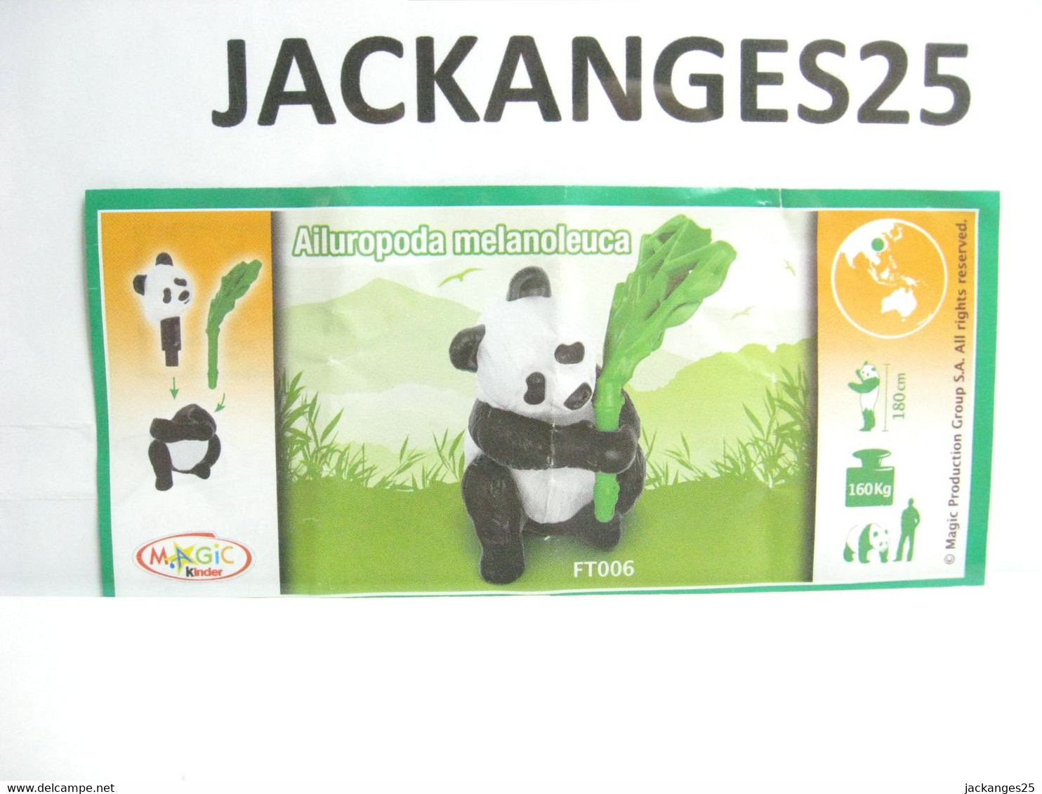 KINDER MPG FT 006 PANDA ANIMAUX NATOONS TIERE 2013 + BPZ - Familles