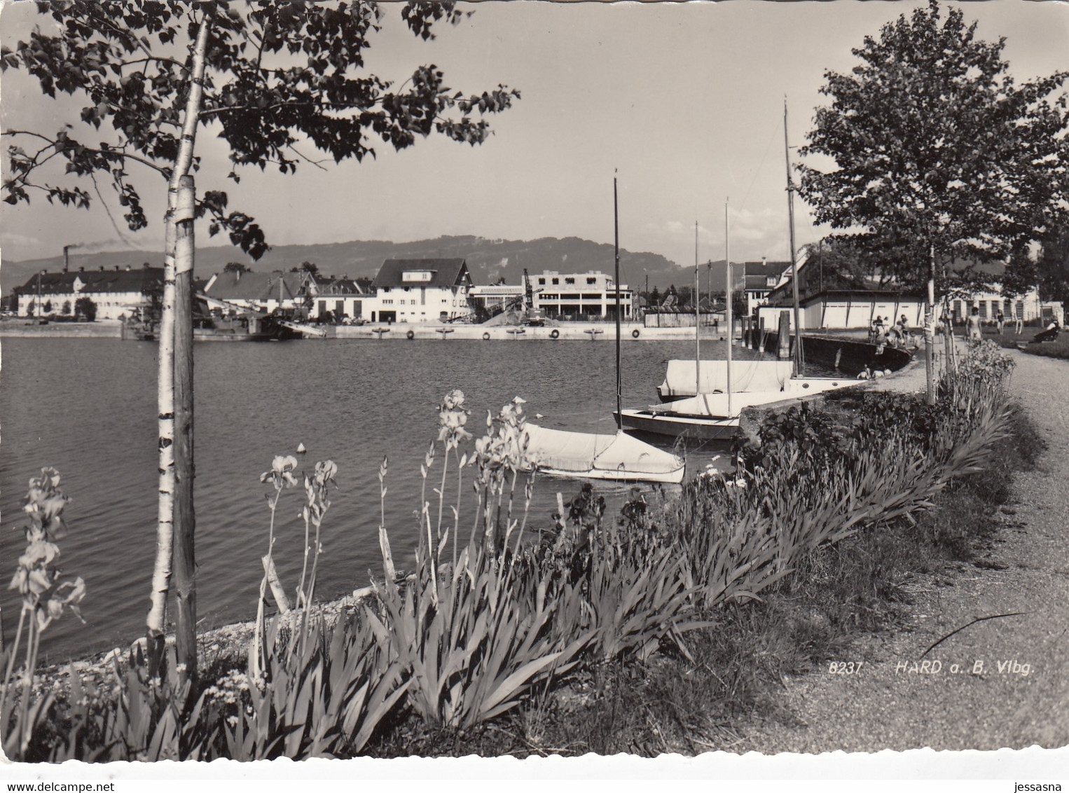 AK - Vorarlberg - Hard Am Bodensee - 1955 - Hard