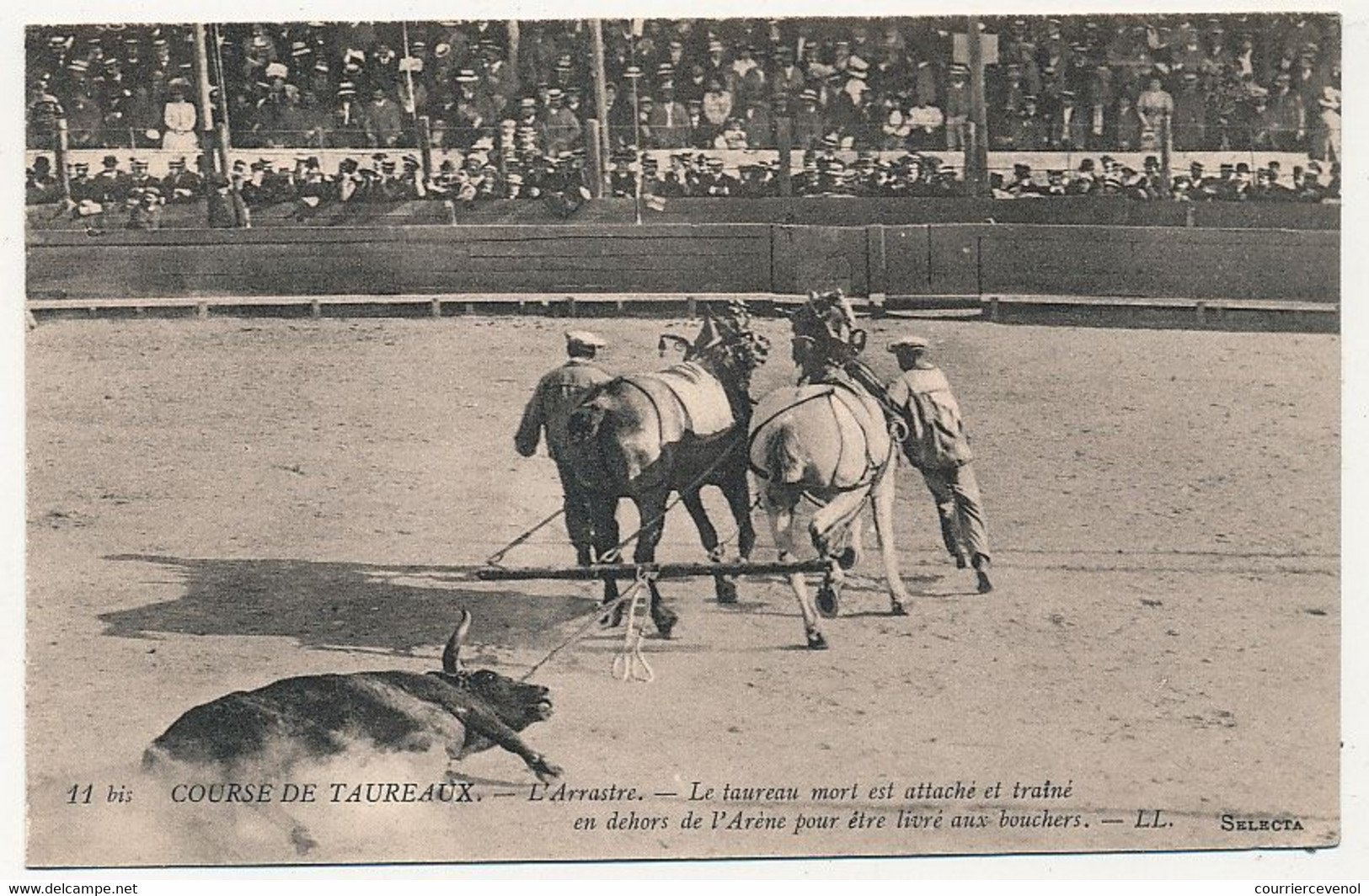 12 CPA Au Thème "Tauromachie - Corridas" - TB Etat - 8 Neuves, 4 Ayant Voyagé. - Corridas