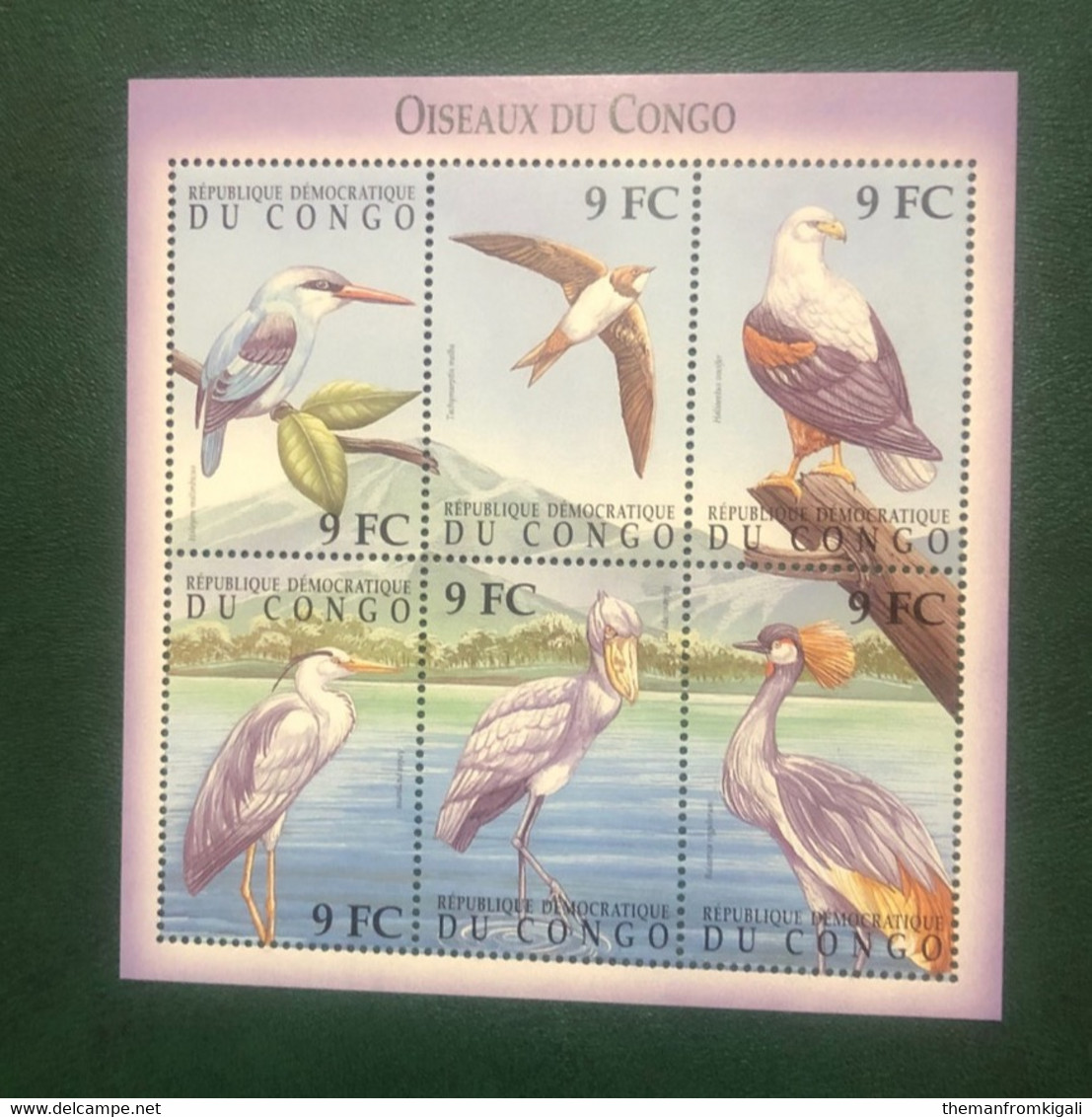 Congo DR 2000 - Birds Of The Congo - Sonstige & Ohne Zuordnung