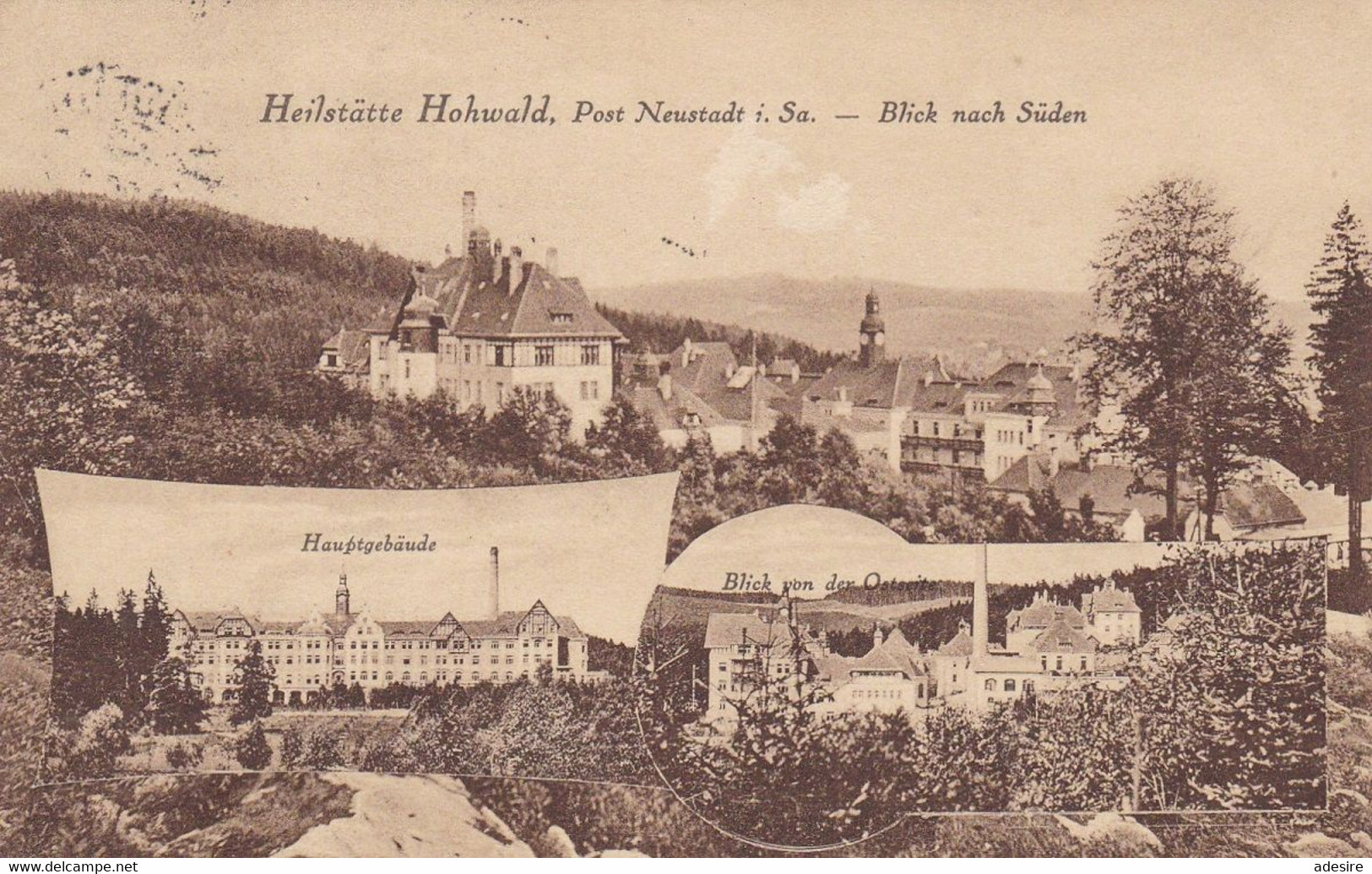 Sachsen, Heilstätte HOHWALD, Post Neustadt I.Sa., Blick Nach Süden, Karte Gelaufen Um 1926 - Neustadt