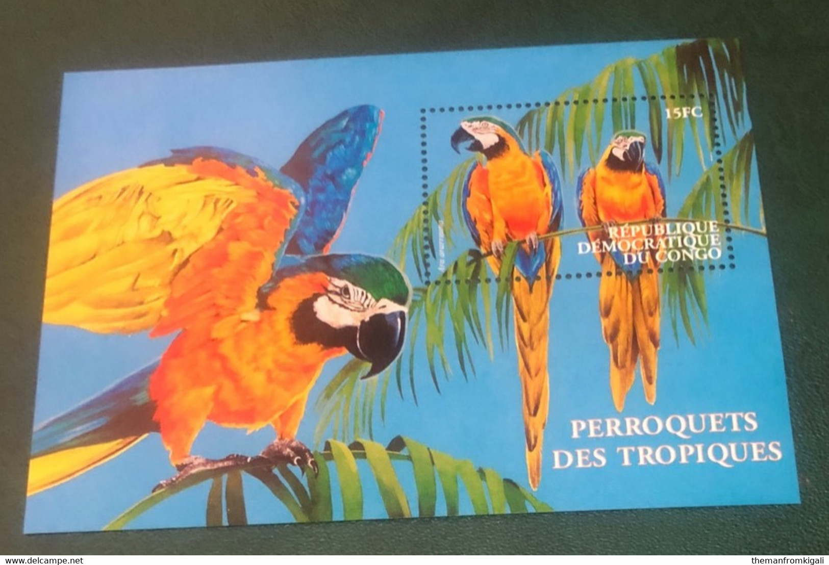 Congo DR 2000 - Parrots - Other & Unclassified