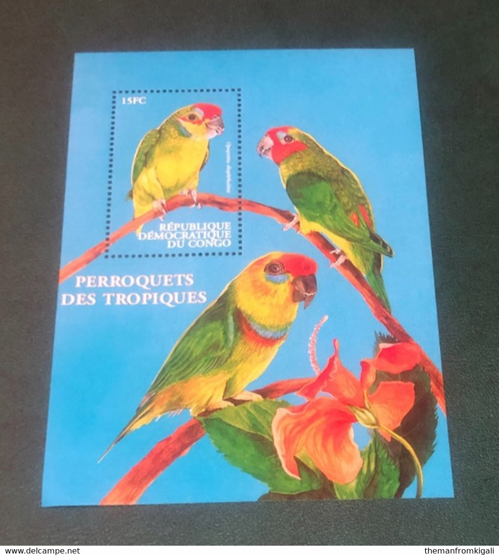 Congo DR 2000 - Parrots - Andere & Zonder Classificatie