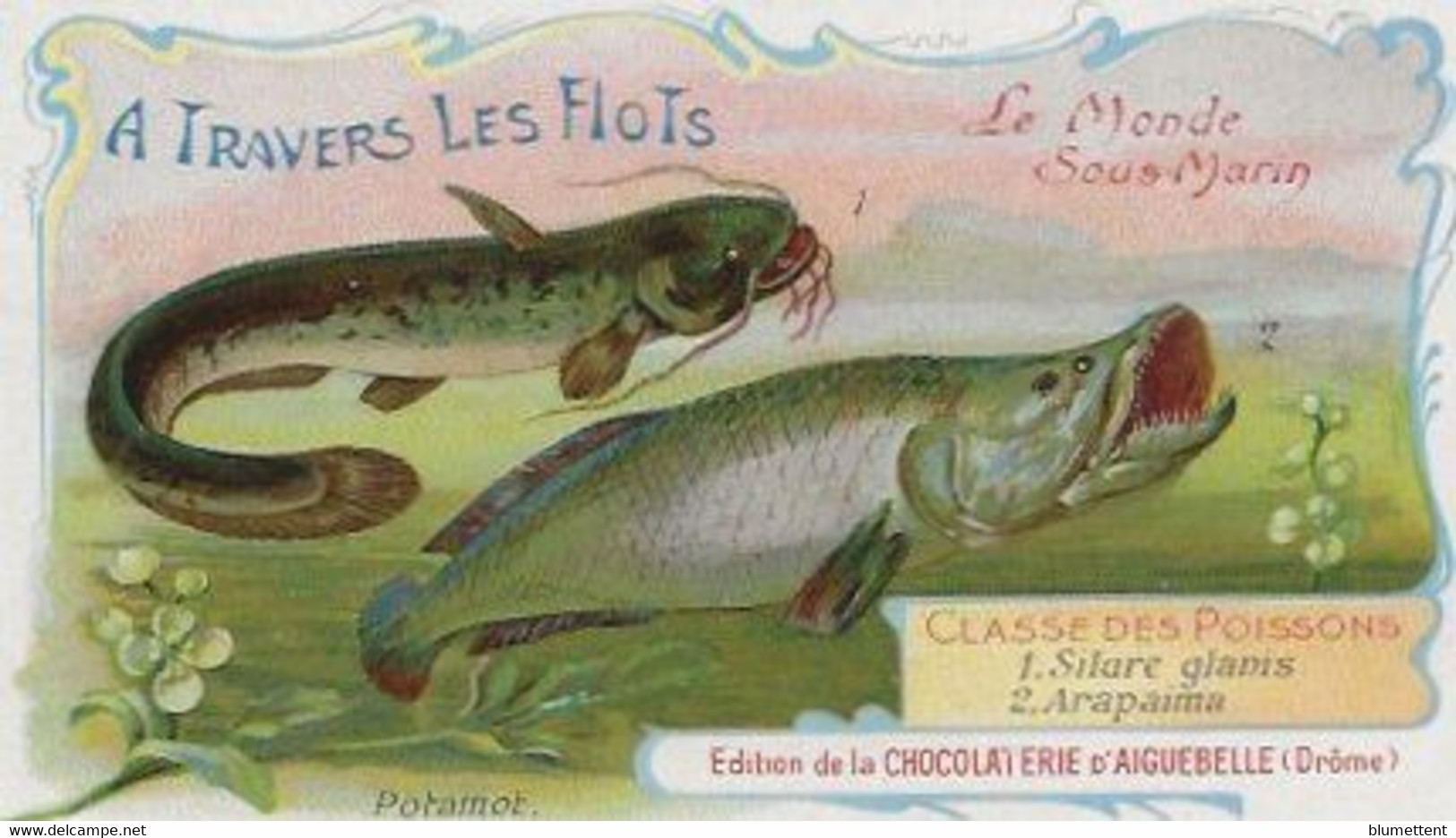 Chromo Aiguebelle 11,5 X 6.5 Le Monde Sous-marin - A Travers Les Flots - Aiguebelle