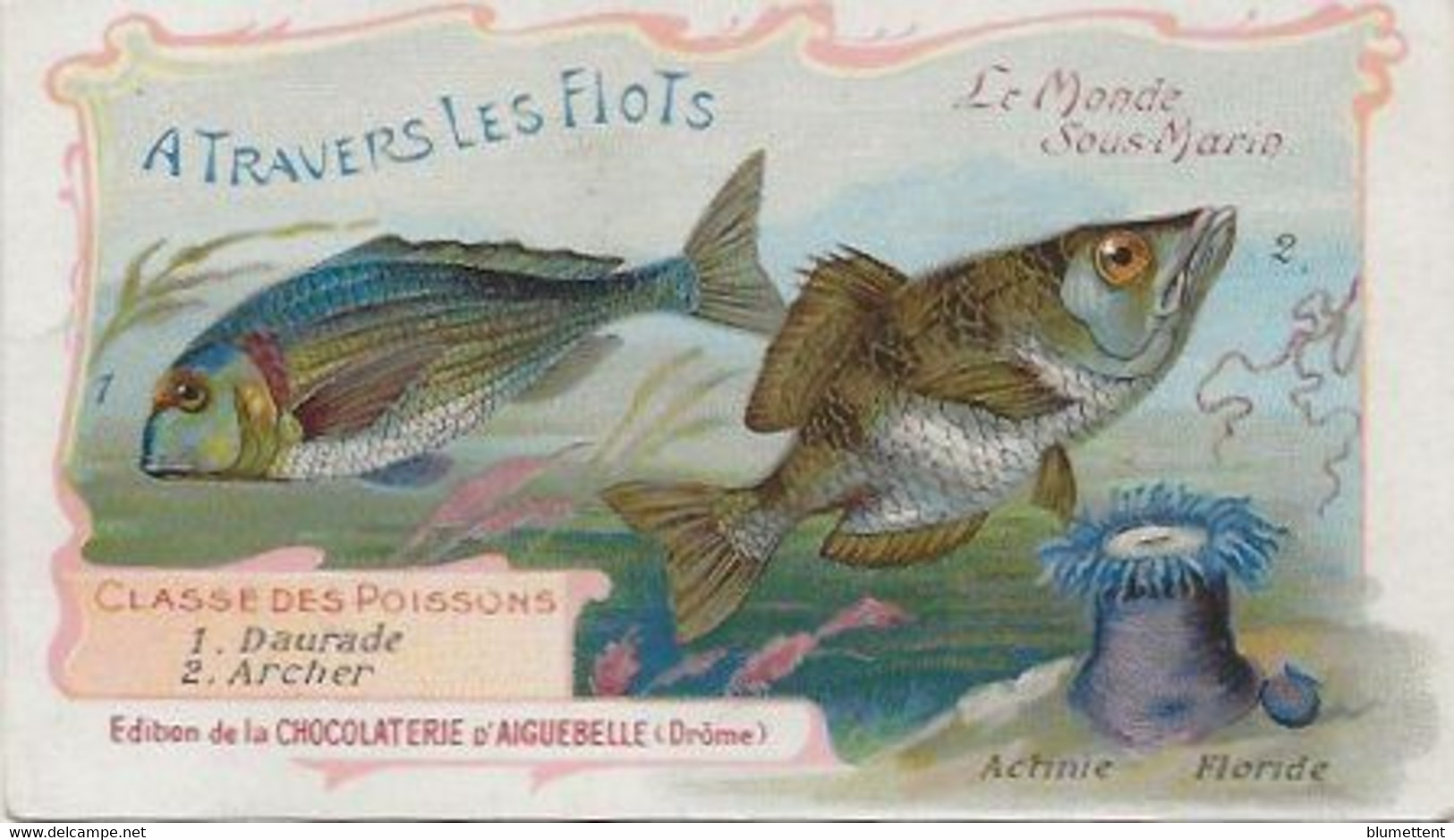Chromo Aiguebelle 11,5 X 6.5 Le Monde Sous-marin - A Travers Les Flots - Aiguebelle